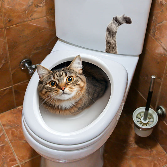 Whimsical Cat in Toilet Self-Adhesive Wall Decal - Playful Bathroom Home Decor, Matte Finish Rectangular Plastic Sticker with Animal Print for Easy Application, Bathroom Decor And Accessories, Humorous Design, Easyinstall Sti